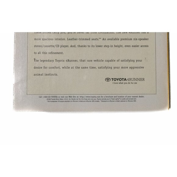 National Geographic May 1996 Dinosaur Eggs Cover Vol 189 No 5 - Picture 9 of 10